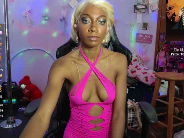 Mocha17 webcam