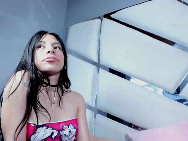 sashsapety webcam