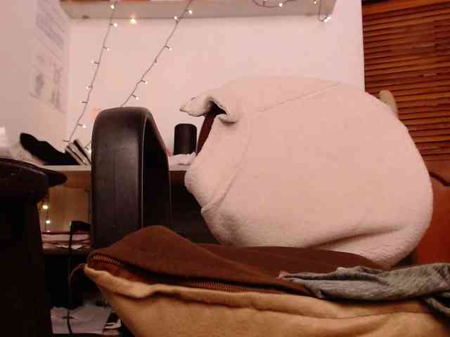 Abigailstone69 webcam