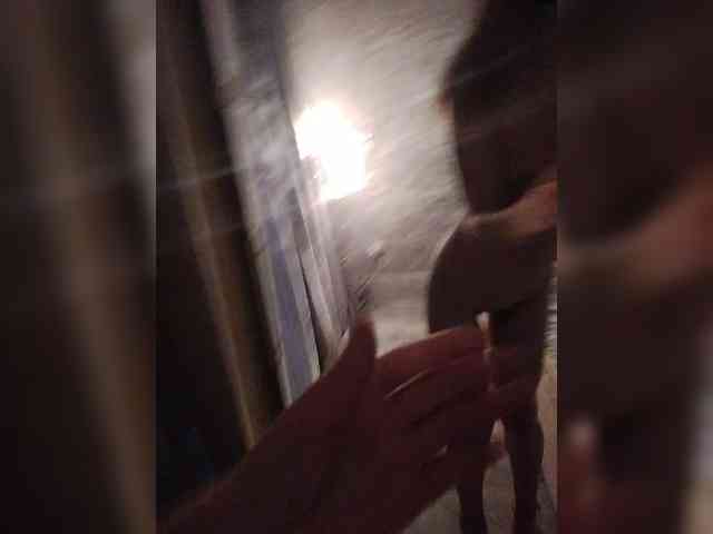 Para-po-paramam webcam