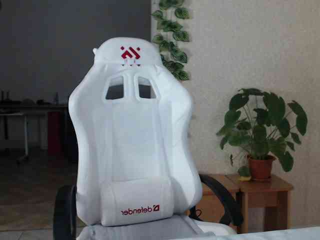 PrincesseMononoke webcam