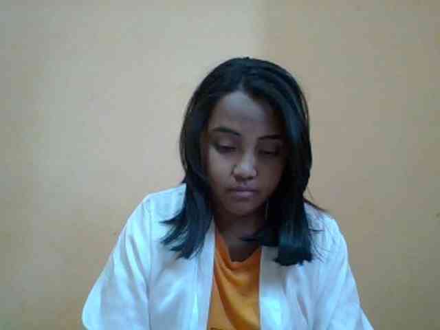 SunsetMonica webcam