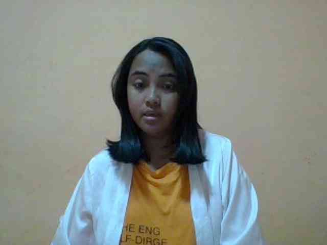 SunsetMonica webcam
