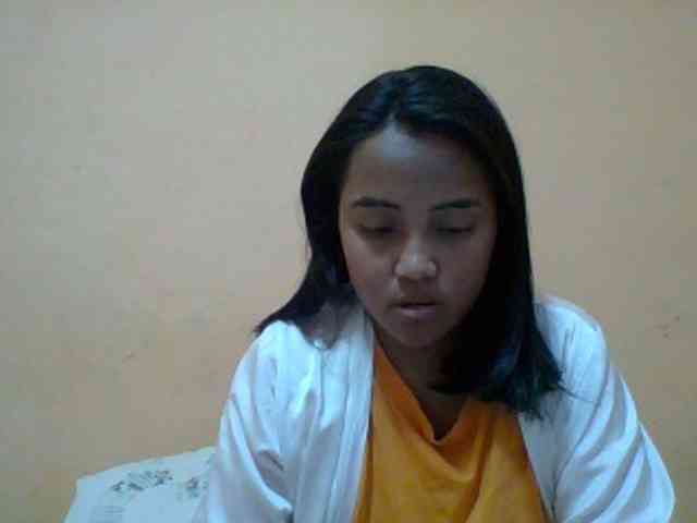SunsetMonica webcam