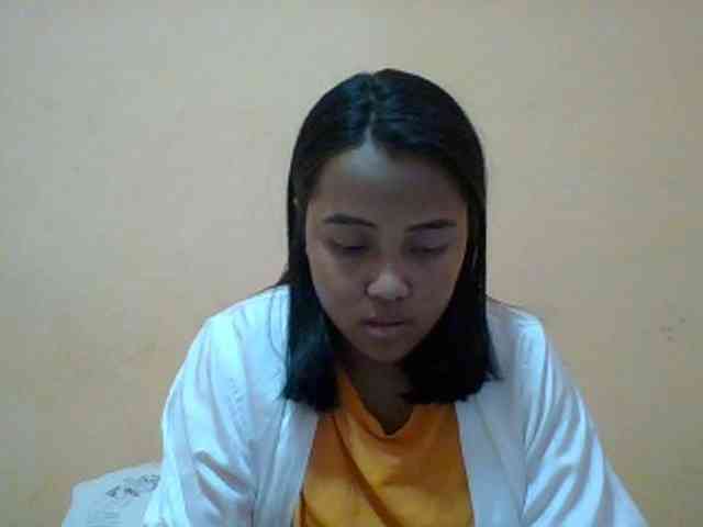 SunsetMonica webcam