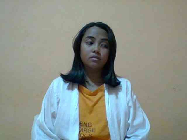 SunsetMonica webcam