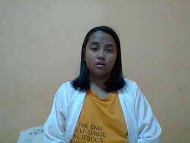 SunsetMonica webcam