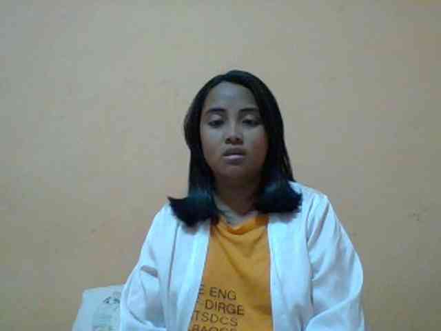 SunsetMonica webcam
