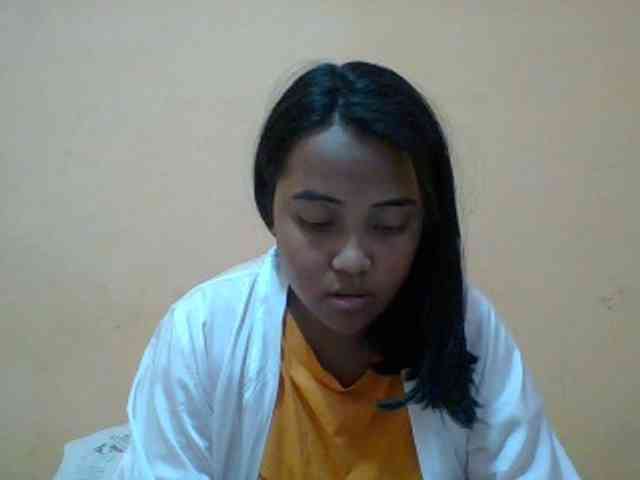 SunsetMonica webcam