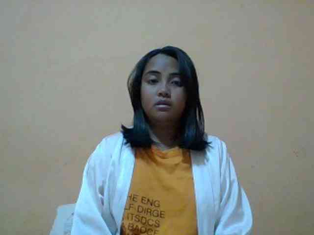 SunsetMonica webcam