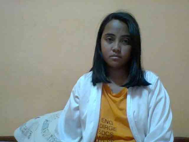 SunsetMonica webcam