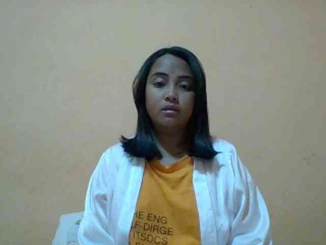 SunsetMonica webcam