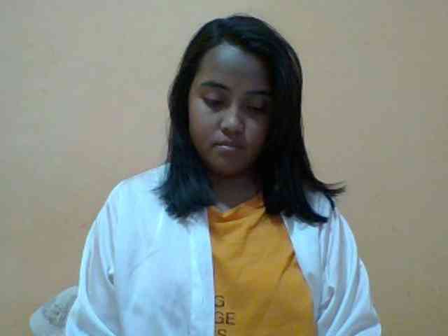 SunsetMonica webcam