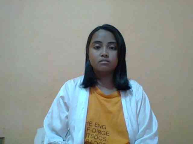SunsetMonica webcam