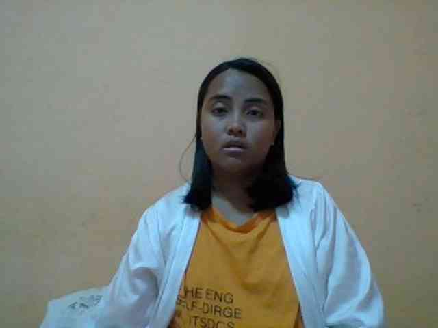SunsetMonica webcam