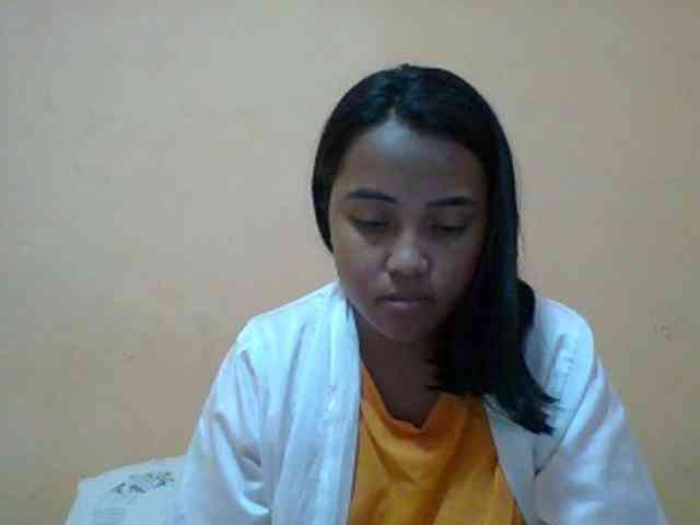 SunsetMonica webcam