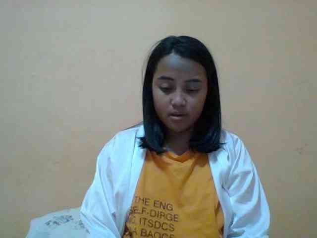 SunsetMonica webcam