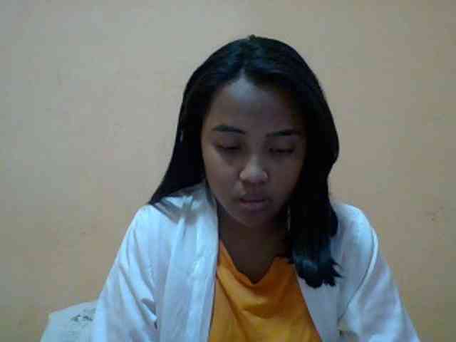 SunsetMonica webcam