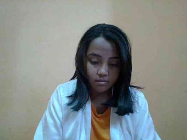SunsetMonica webcam