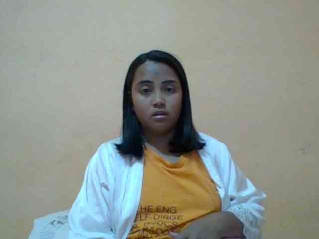 SunsetMonica webcam