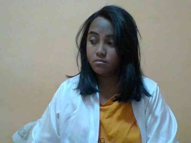 SunsetMonica webcam