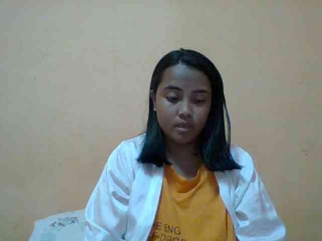 SunsetMonica webcam