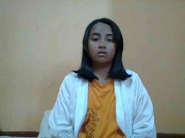 SunsetMonica webcam