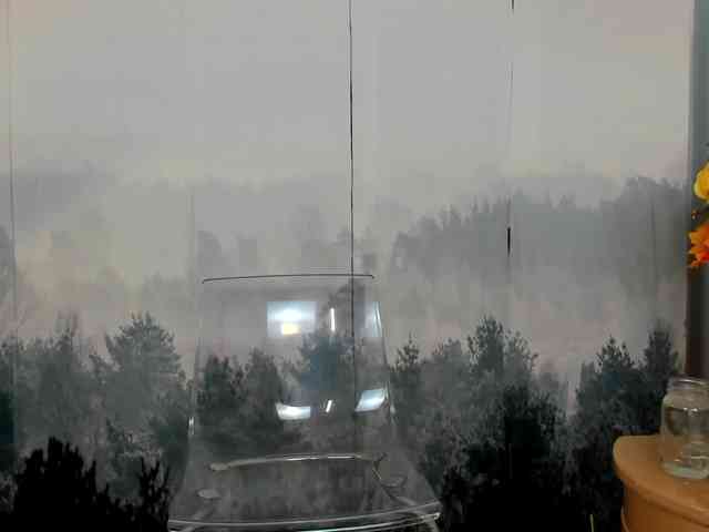 SatyneQueen webcam