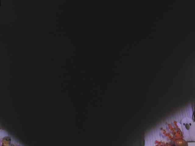 Valery-wang webcam