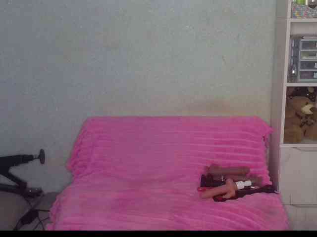 SunsetVeronica webcam