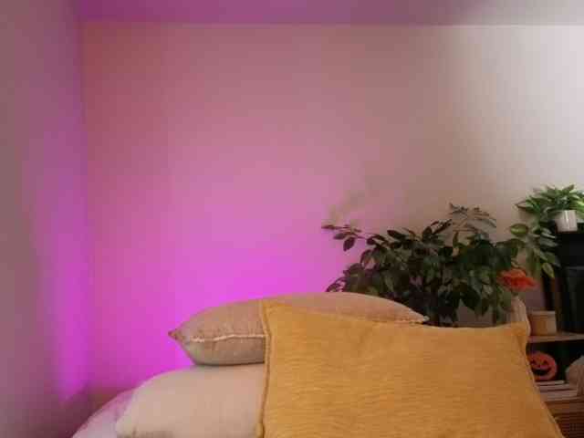 athena-th webcam