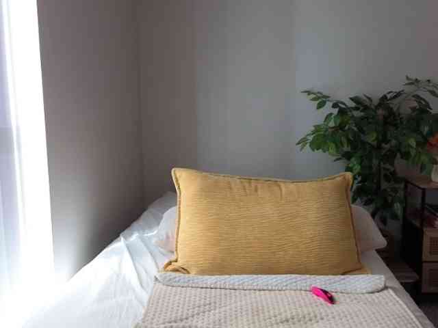 athena-th webcam