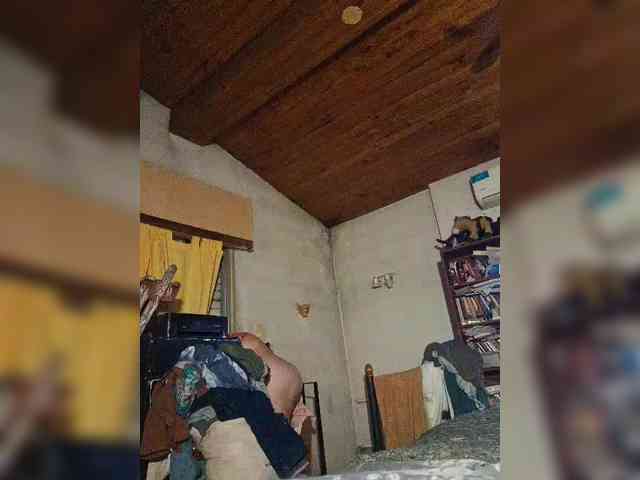 Leoncarpita webcam