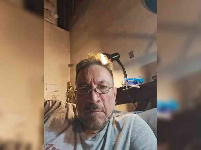 Leoncarpita webcam
