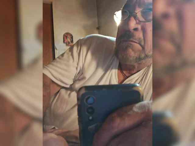 Leoncarpita webcam