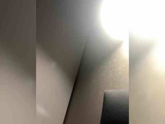 Perverse-family webcam