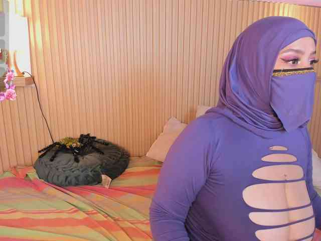 hana-falak webcam