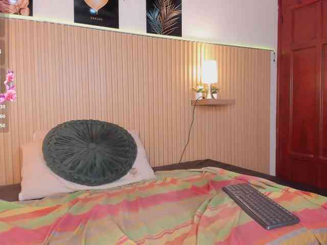 hana-falak webcam