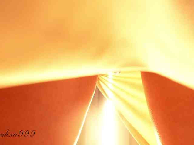Alexa_Duque webcam