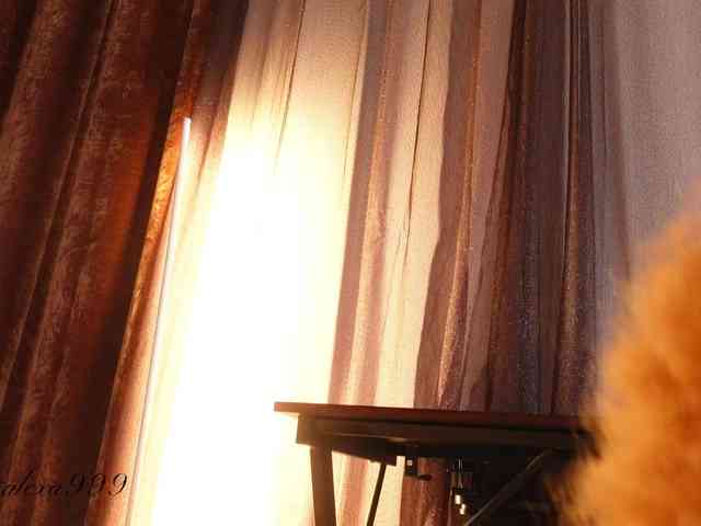 Alexa_Duque webcam