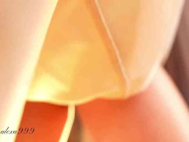 Alexa_Duque webcam