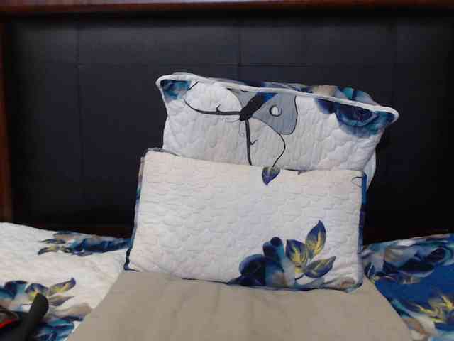 Busttyebony19 webcam