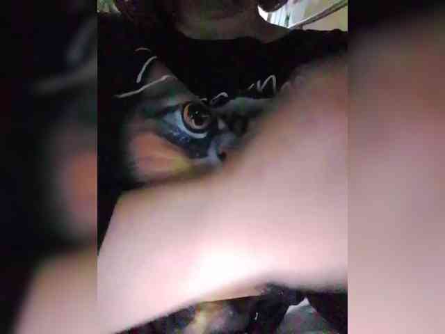 EVIL_TITS webcam
