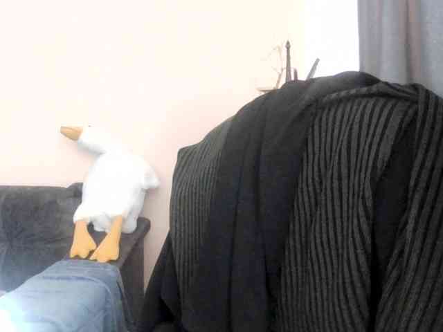 Ornotores_wers webcam