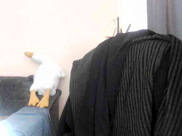 Ornotores_wers webcam