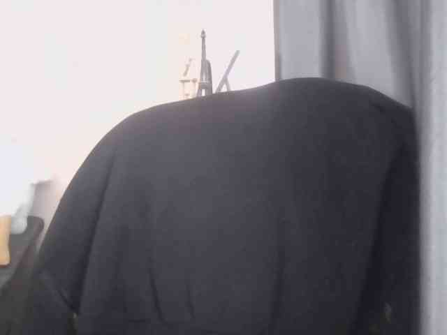 Ornotores_wers webcam