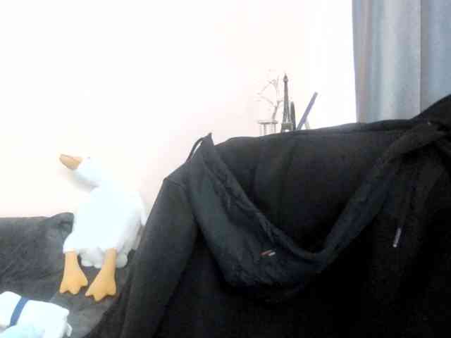 Ornotores_wers webcam