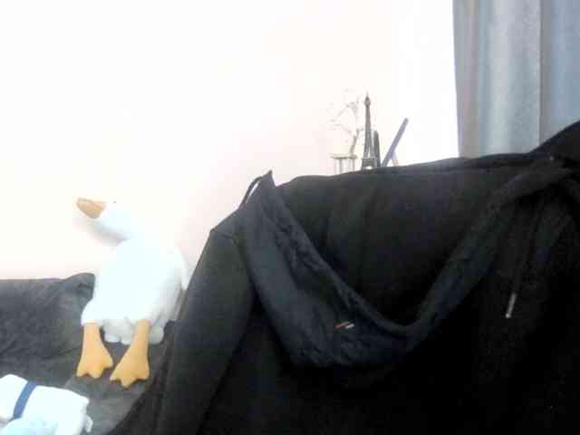 Ornotores_wers webcam