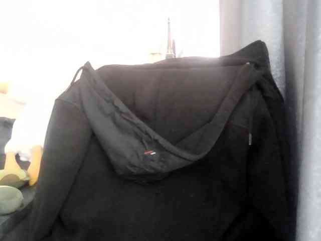 Ornotores_wers webcam