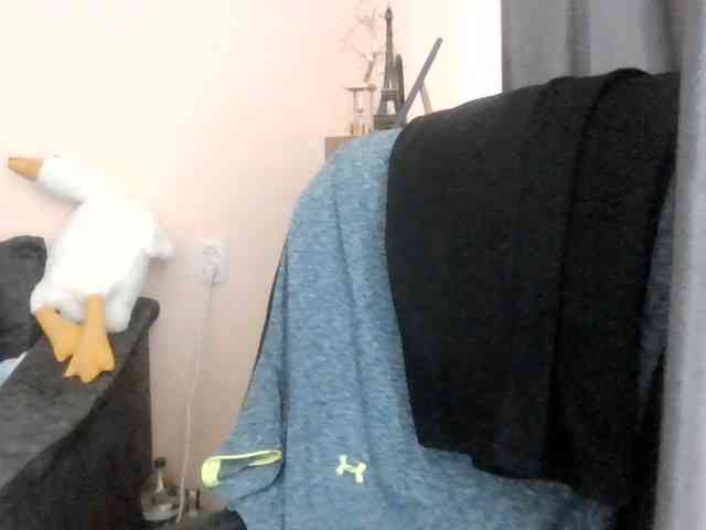 Ornotores_wers webcam